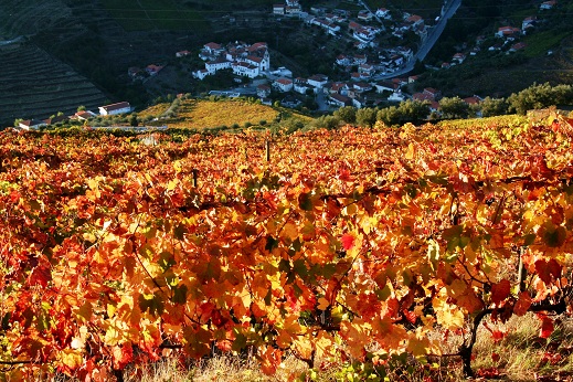 Douro III.jpg