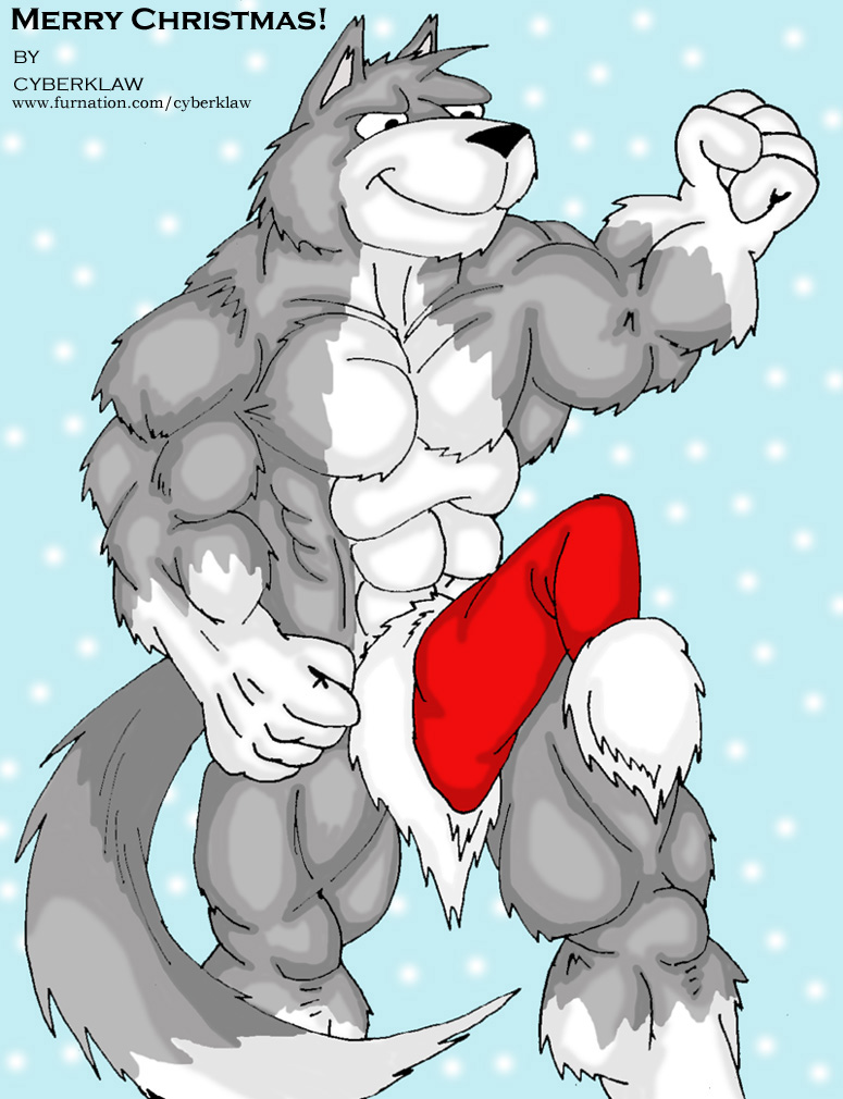CKlaw_Xmas_Wolf.jpg